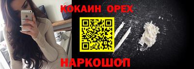крисы Кунгур