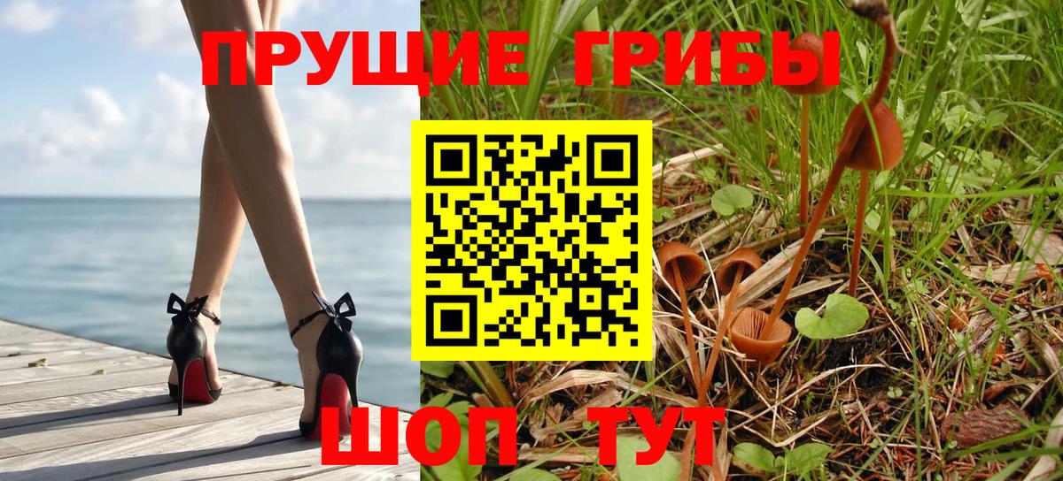 Галлюциногенные грибы Psilocybine cubensis  как найти наркотики  Калининград  Вход с VPN 