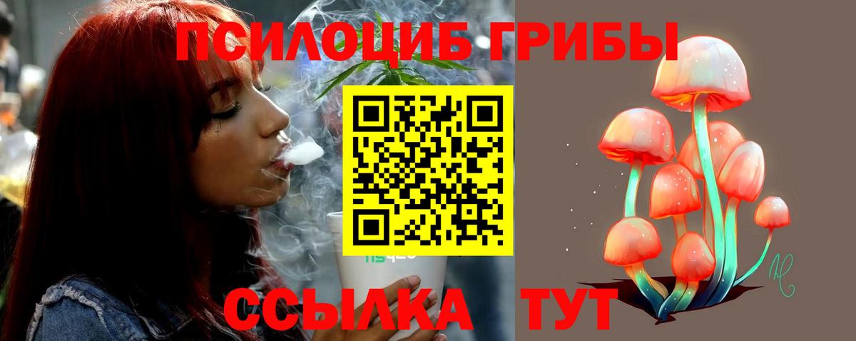Псилоцибиновые грибы ЛСД Калининград