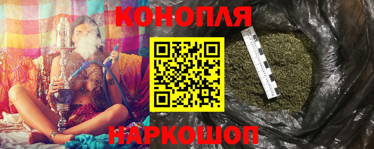Канабис планчик Калининград
